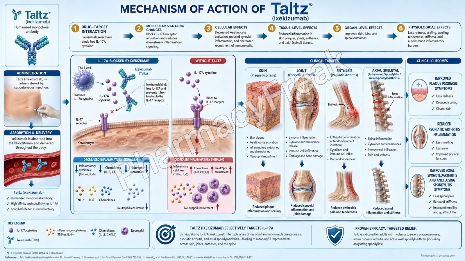 Taltz Mechanism of Action