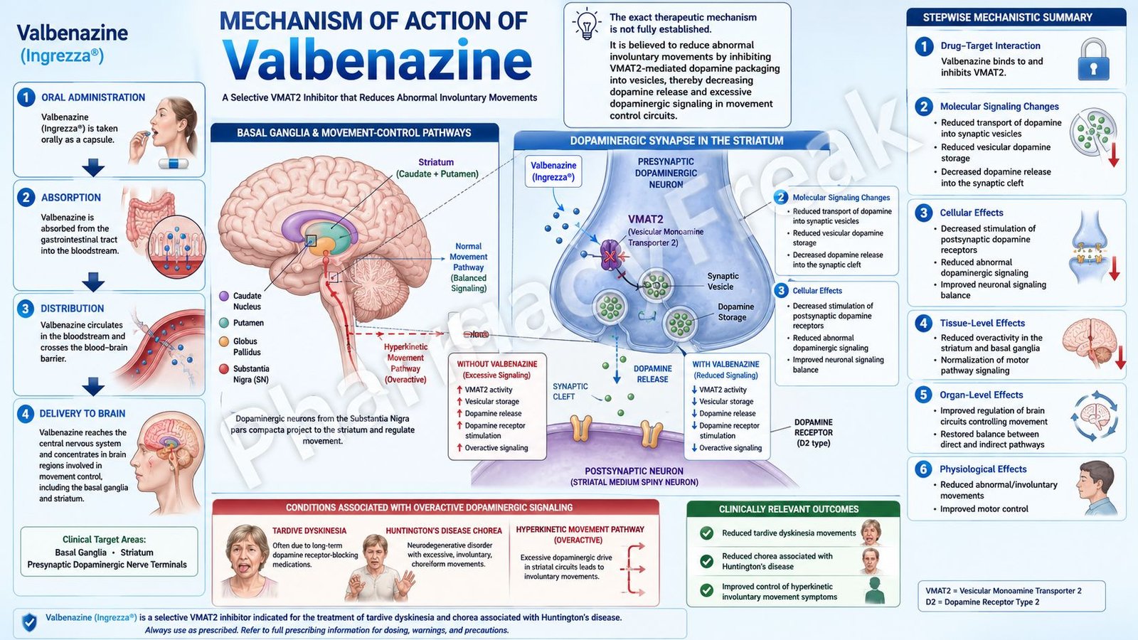 Mechanism of Action of Valbenazine