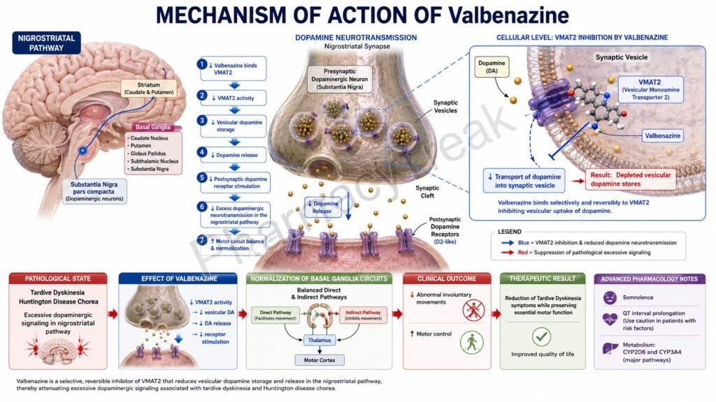 Valbenazine Mechanism of Action