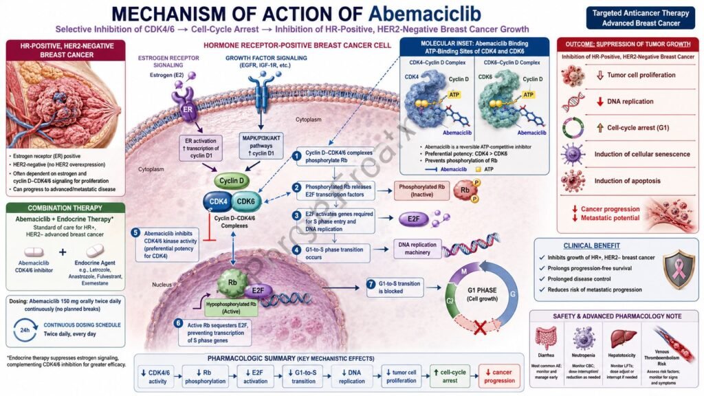 Abemaciclib Mechanism of Action