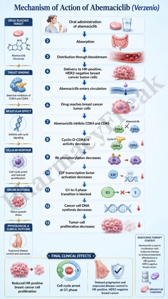 Mechanism of Action of Abemaciclib Flowchart