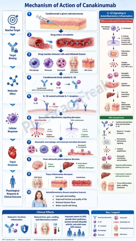Mechanism of Action of Canakinumab Flowchart