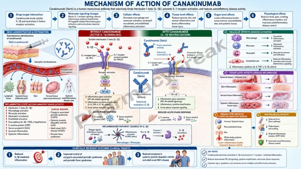 Canakinumab Mechanism of Action