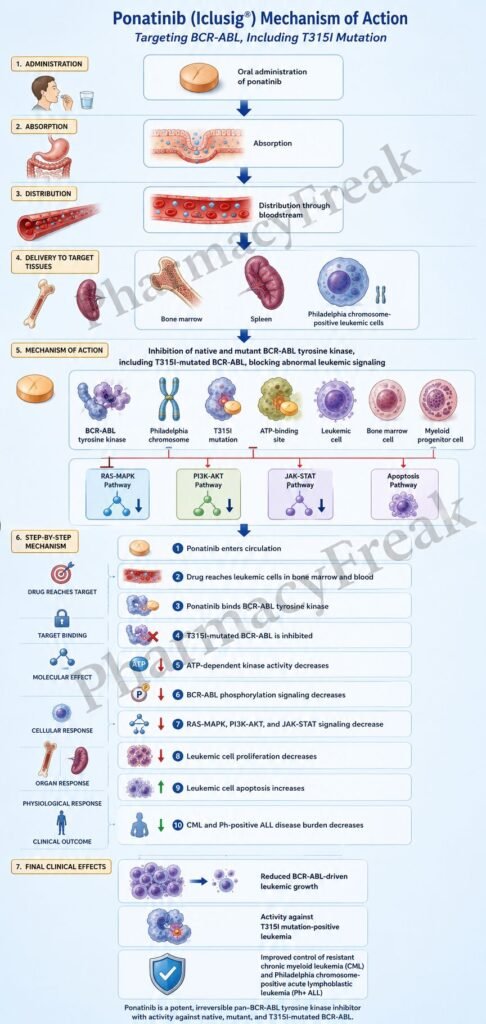Mechanism of Action of Ponatinib Flowchart