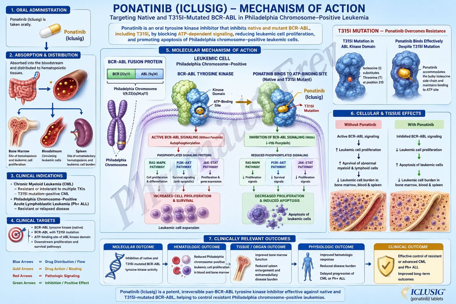 Ponatinib Mechanism of Action