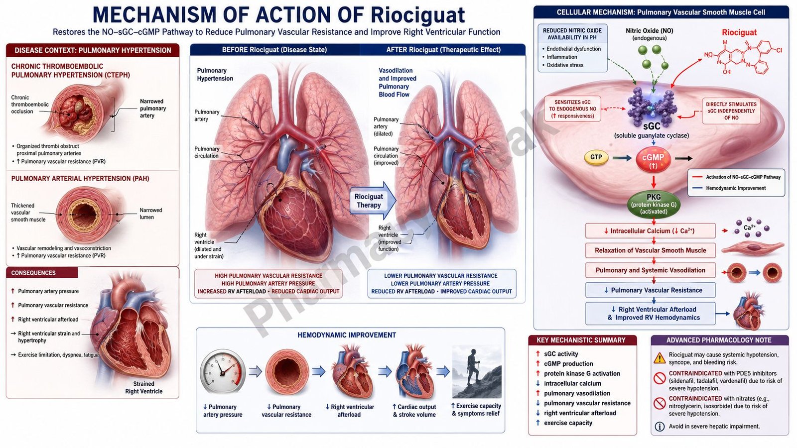 Mechanism of Action of Riociguat