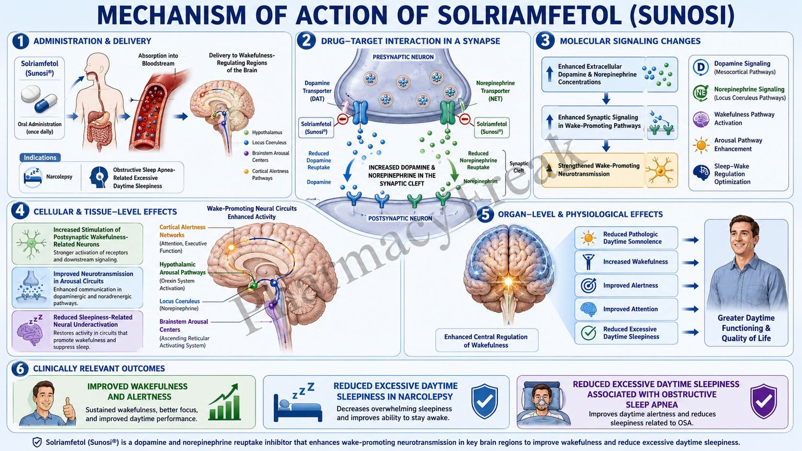 Mechanism of Action of Solriamfetol