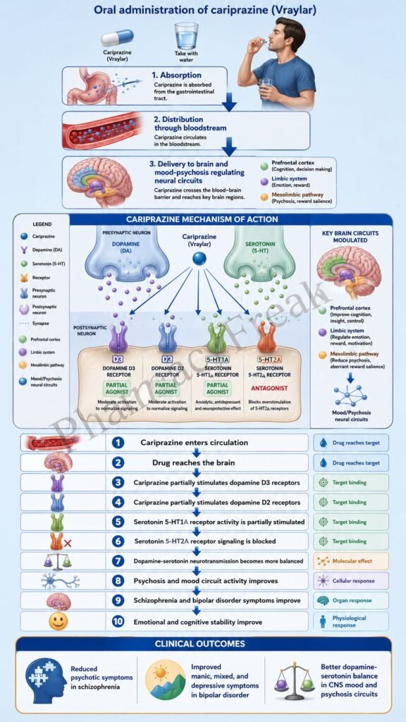 cariprazine mechanism of action flowchart