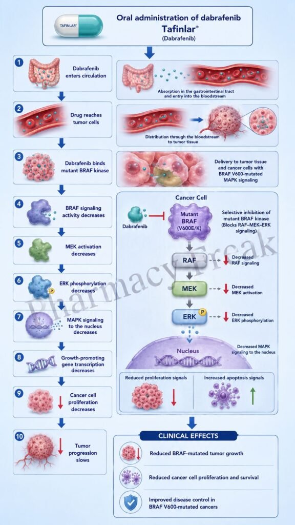 Mechanism of Action of Dabrafenib Flowchart