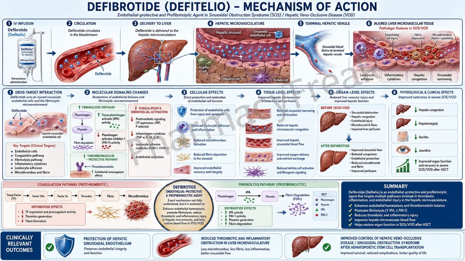 Mechanism of Action of Defibrotide