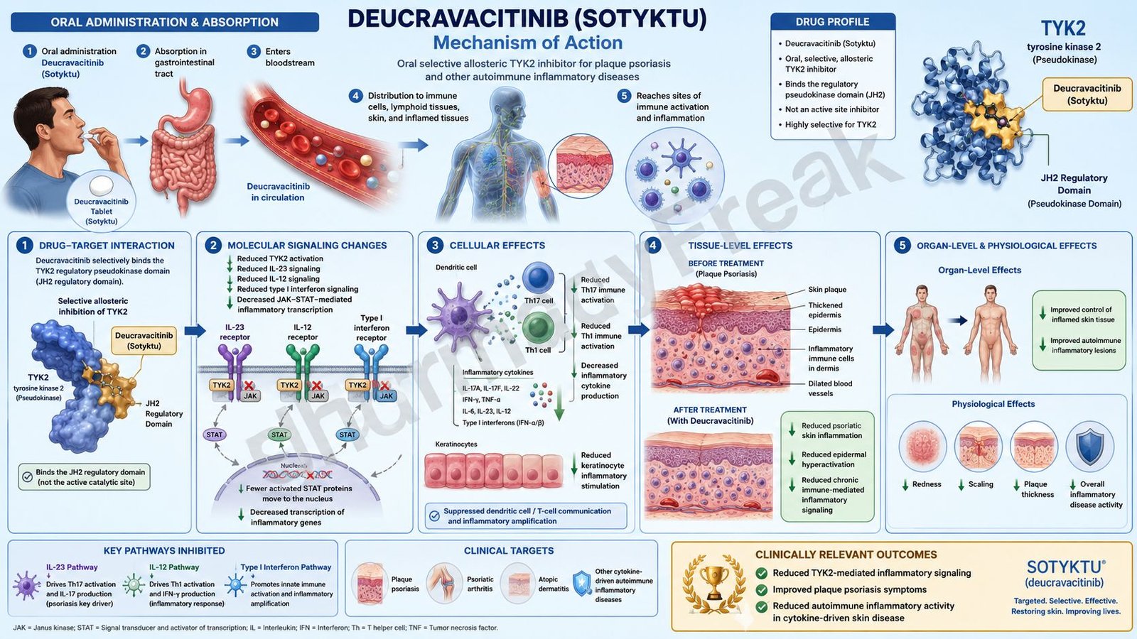 Mechanism of Action of Deucravacitinib