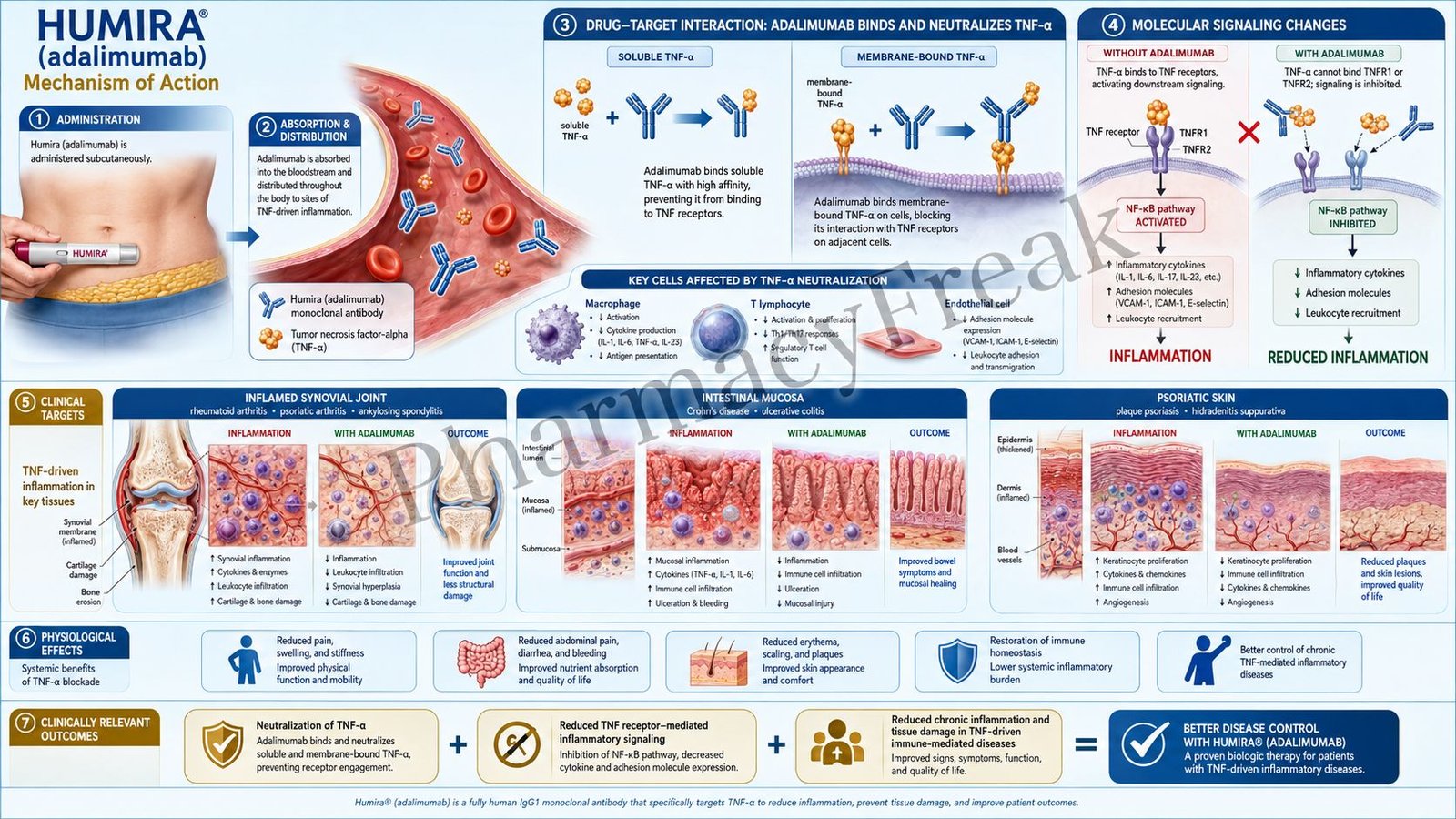 Mechanism of Action of Humira