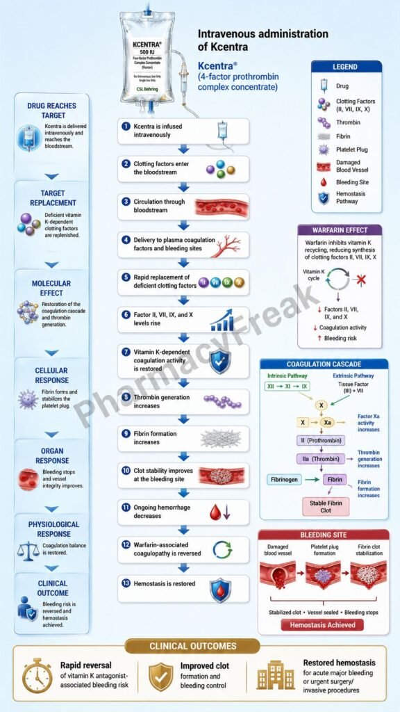 Mechanism of Action of Kcentra Flowchart