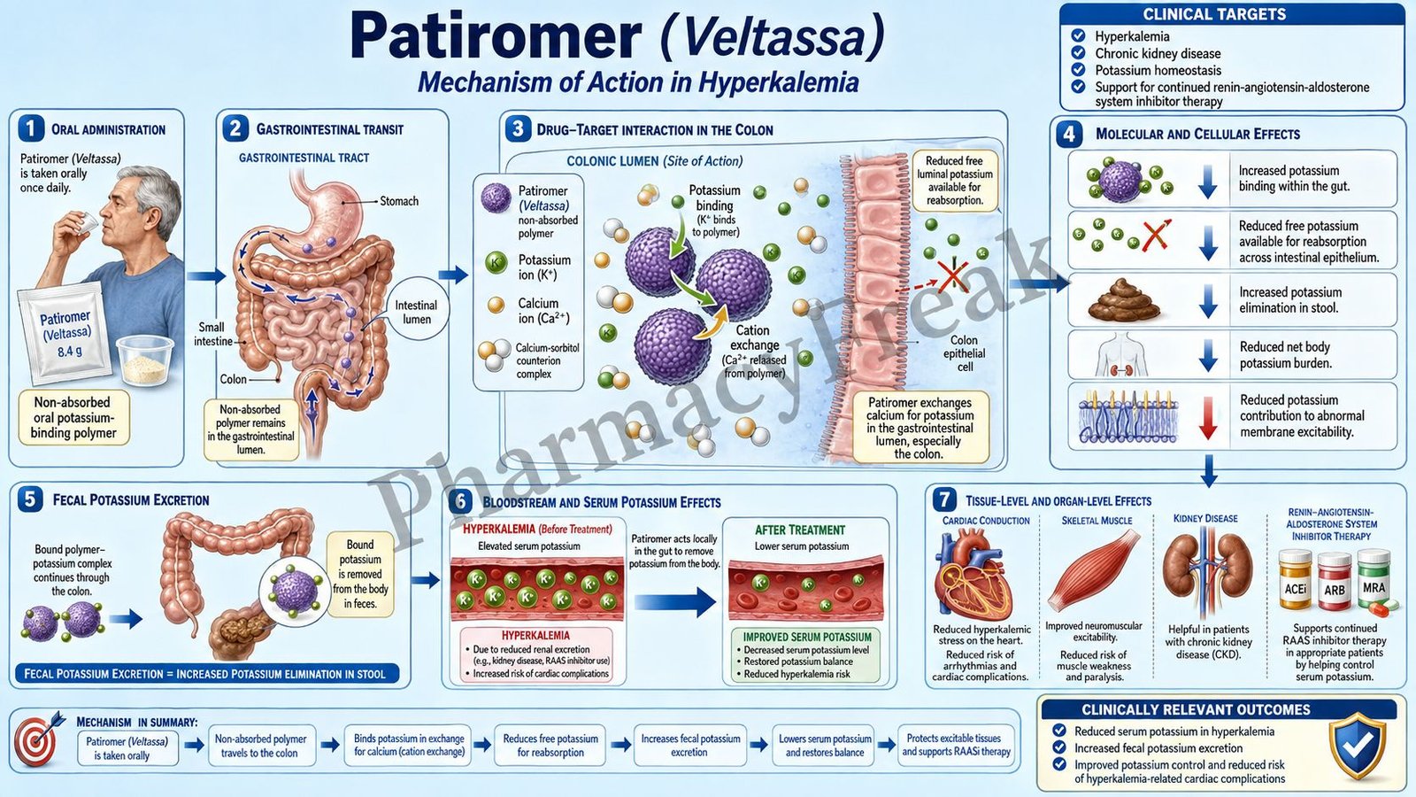 Mechanism of Action of Patiromer
