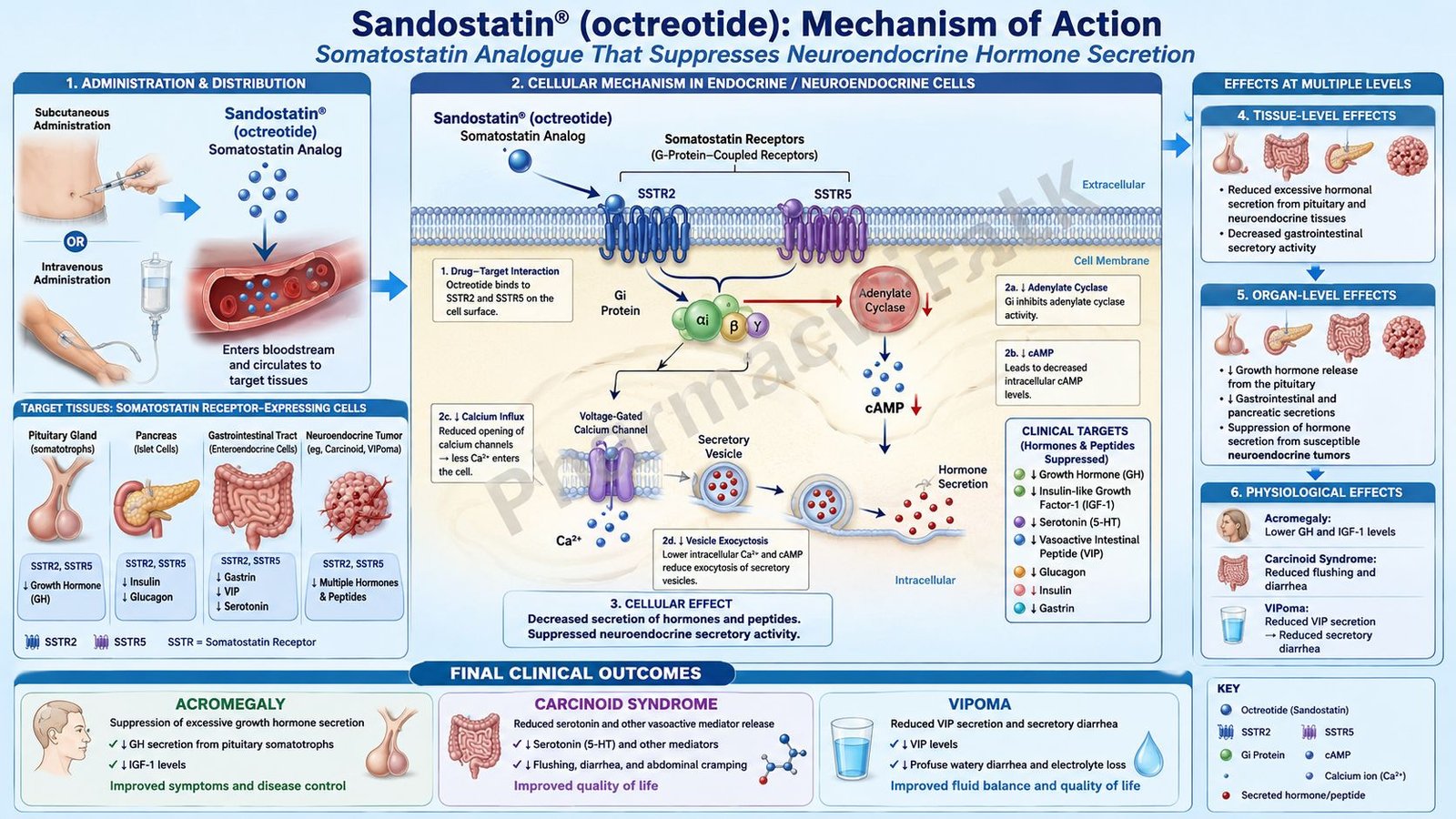 Mechanism of Action of Sandostatin