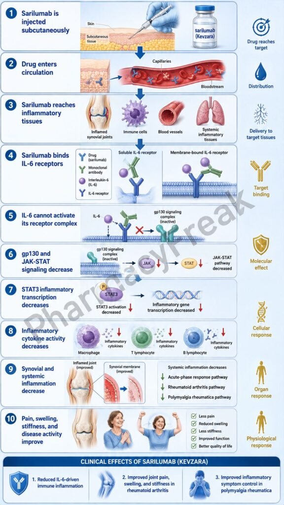 Mechanism of Action of Sarilumab Flowchart