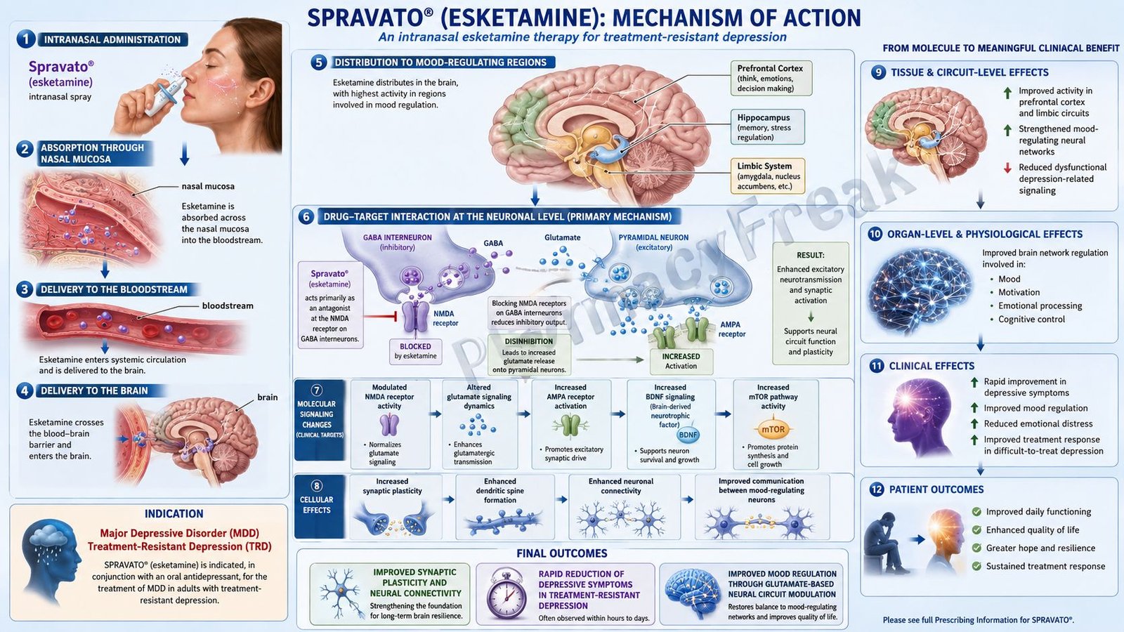 Mechanism of Action of Spravato